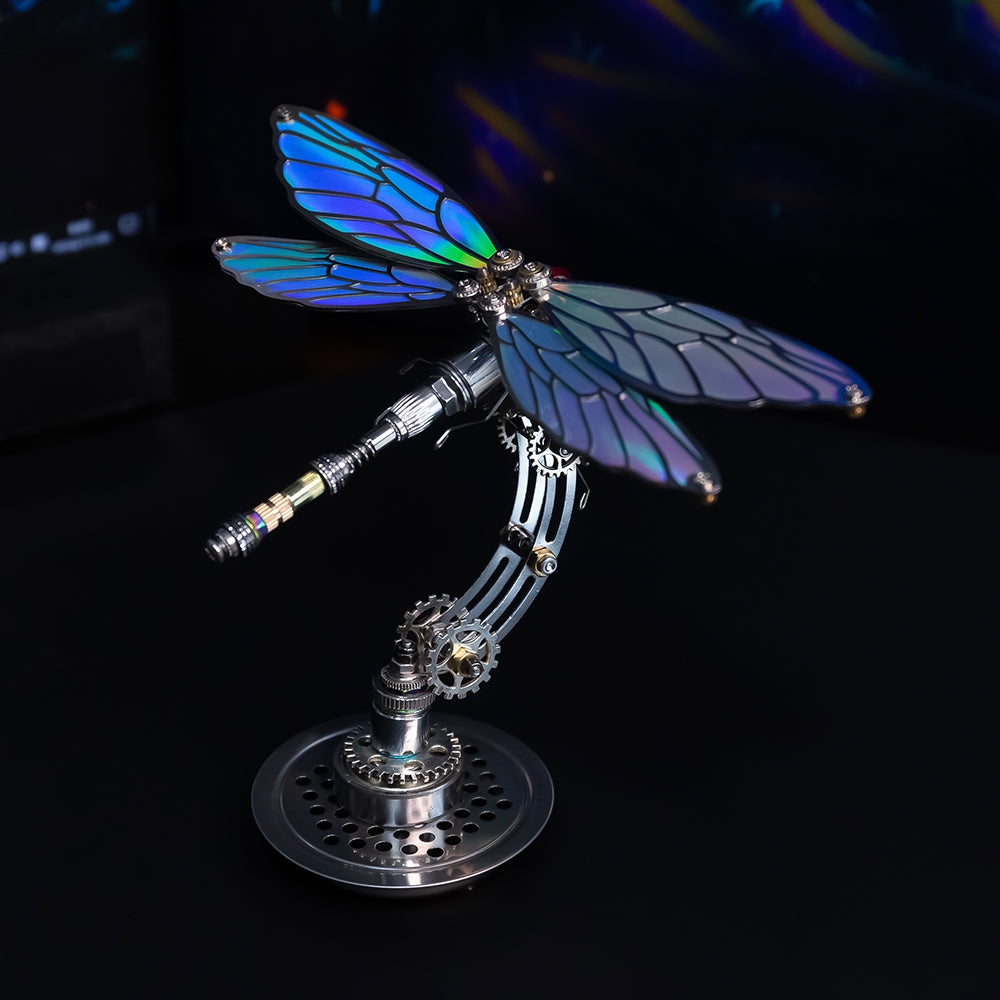 Dragonfly Metal Time Workshop