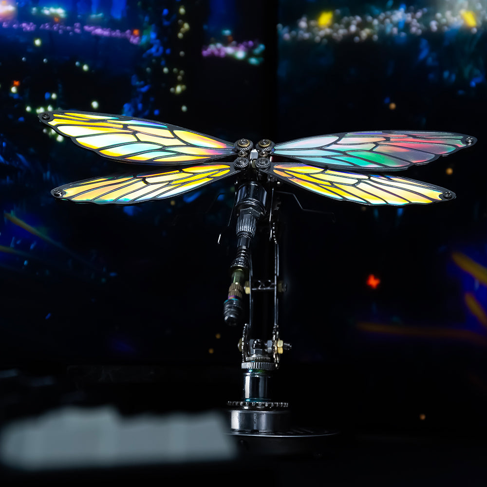 Dragonfly Metal Time Workshop