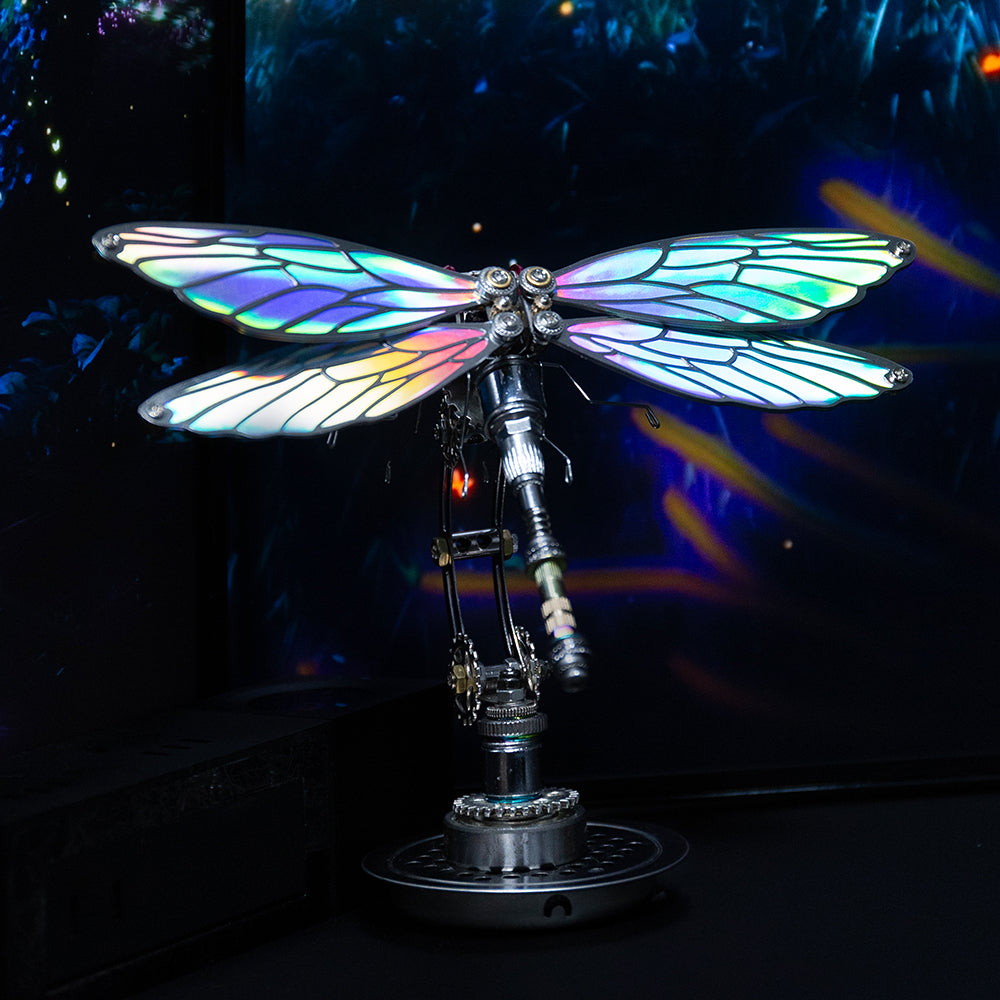 Dragonfly Metal Time Workshop