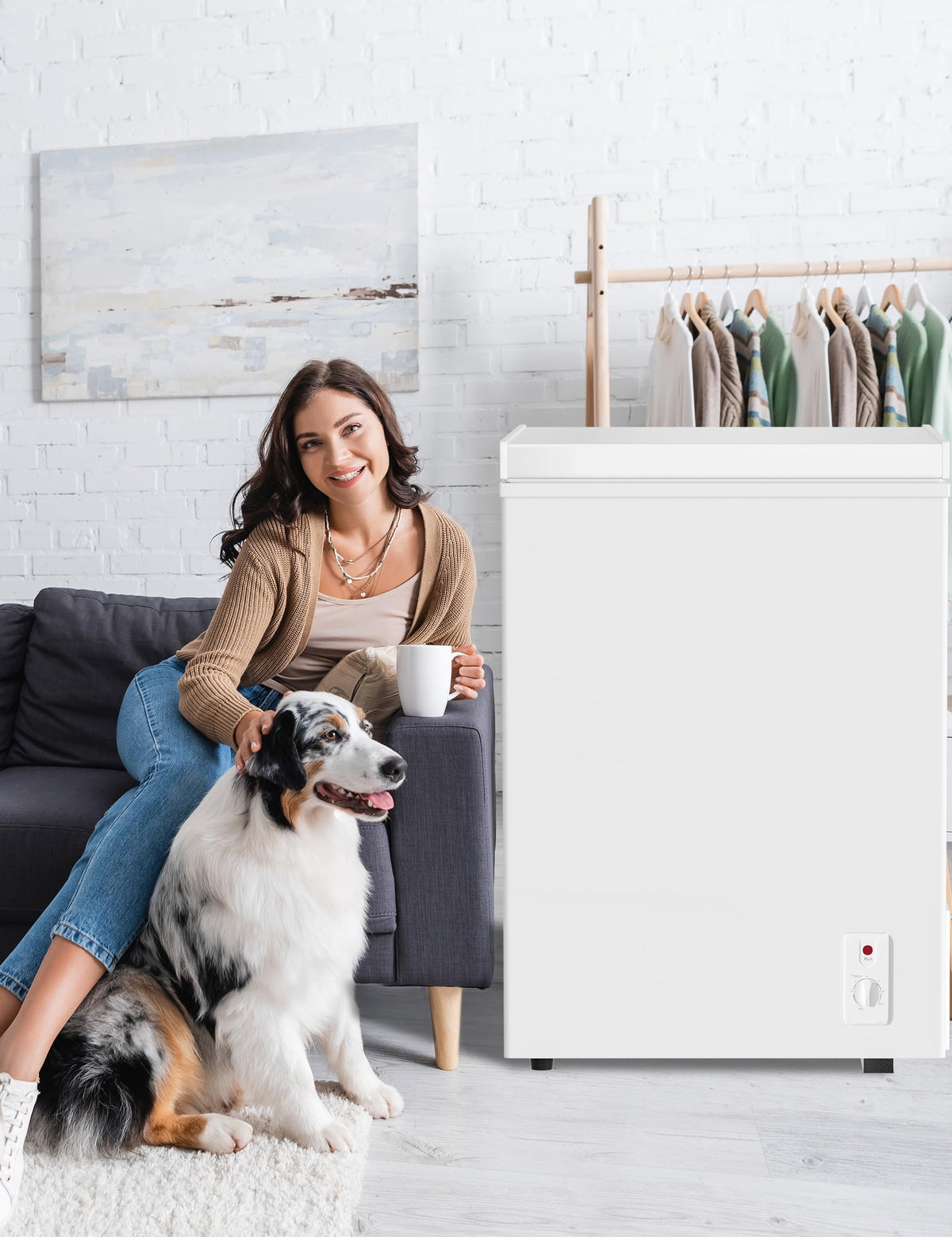7.0 Cu Ft Chest Freezer - Energy Saving Quiet Top Open Door Mini Freezer Adjustable 6 Thermostat - Compact Small Deep Freezer w/Removable Basket and Defrost Water Drain for Home/Apartment/Garage Jansha Store