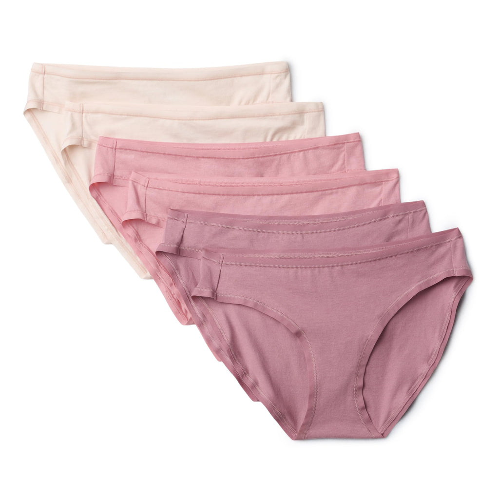 Amazon Essentials Women's Cotton Spandex Bikini Brief Underwear (Available in Plus Size) Jansha Store