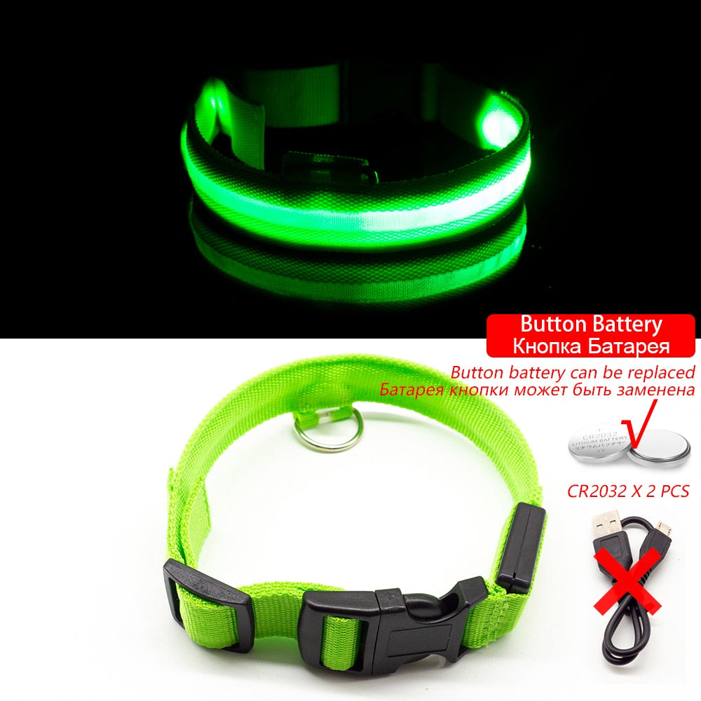 Led Dog Collar Anti-Lost For Dogs CAN