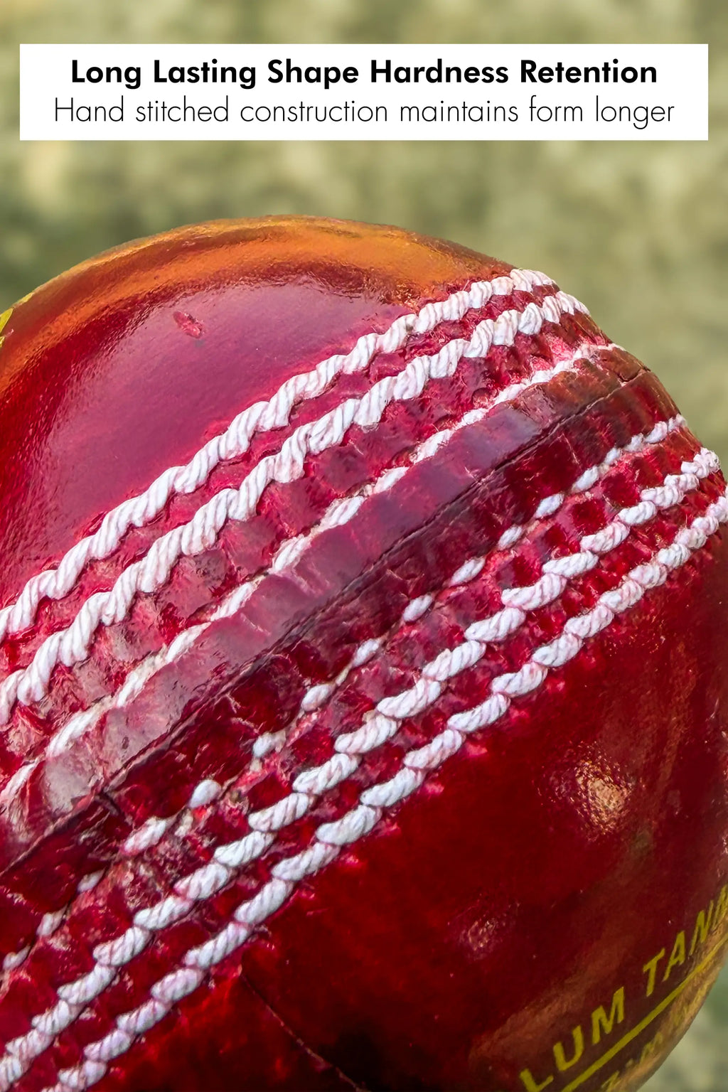 ZAP Pacer 20 Cricket Leather Ball ZAP Cricket