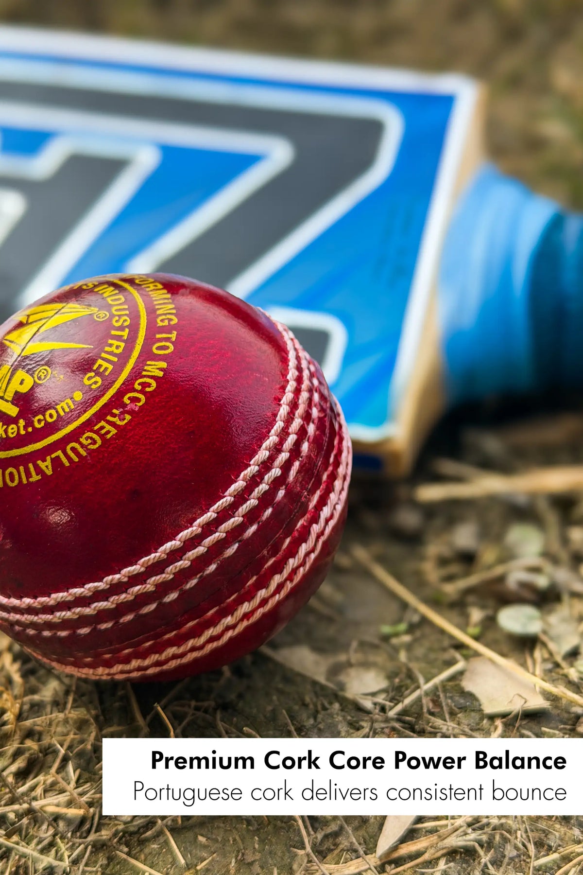 ZAP Pacer 20 Cricket Leather Ball ZAP Cricket