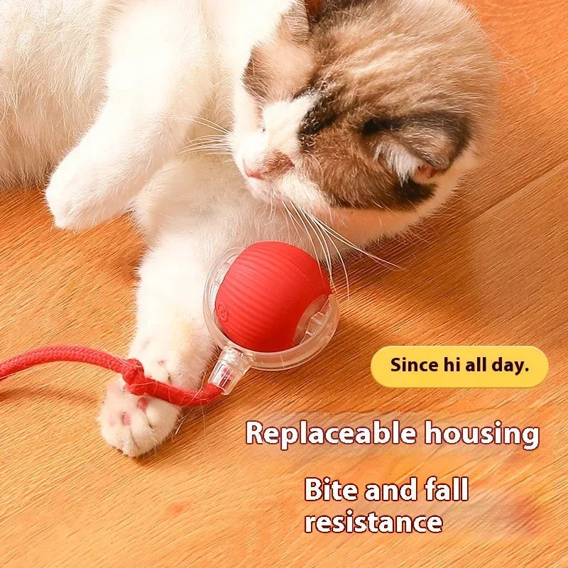 Smart Rolling Cat Ball Cashymart