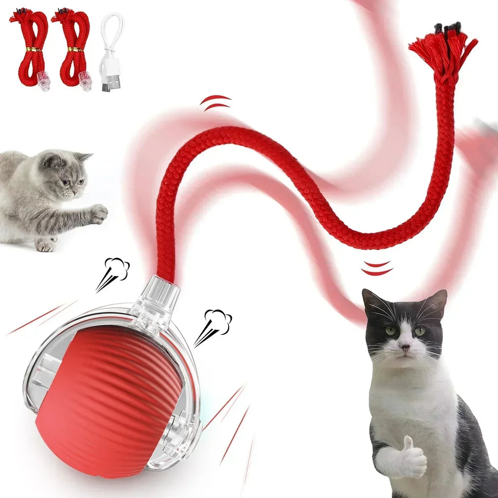 Smart Rolling Cat Ball Cashymart