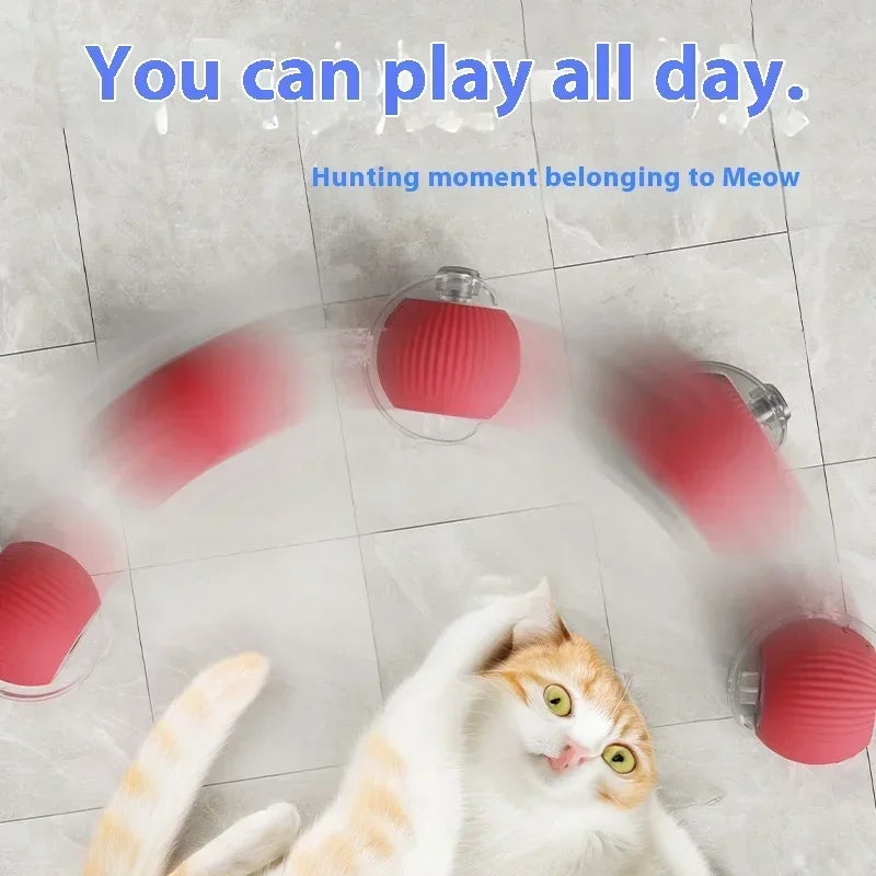 Smart Rolling Cat Ball Cashymart