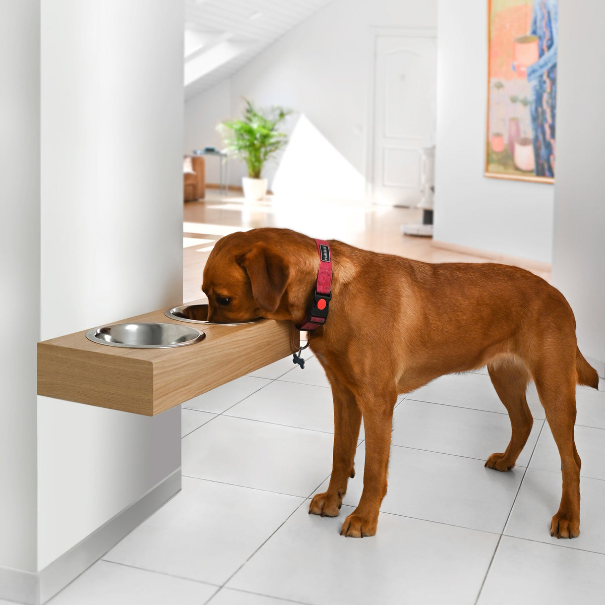 Hanging wooden dog feeder, Mounted pet feeding station, Shepherd food stand Valiai