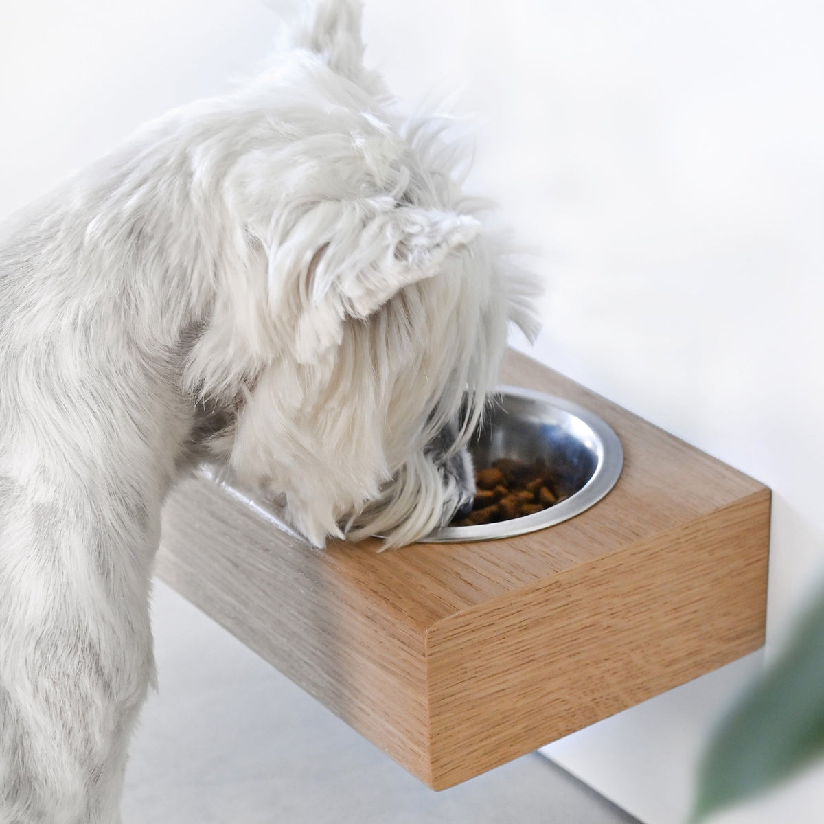 Small Dogs and Cats Wooden Elevated Stand, Young Dog Stand with Bowls Valiai