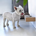 Small Dogs and Cats Wooden Elevated Stand, Young Dog Stand with Bowls Valiai